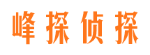 桃城婚外情调查取证